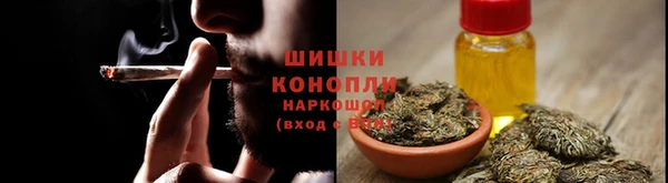 стаф Бронницы