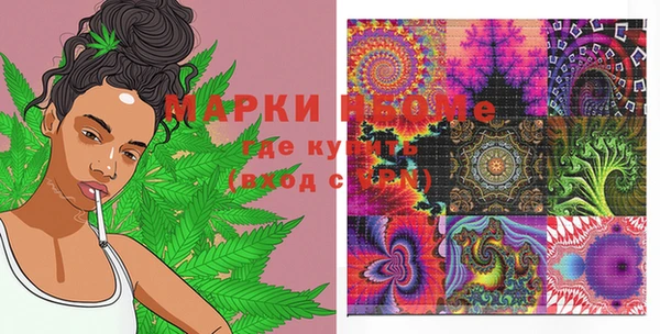 спиды Богородицк