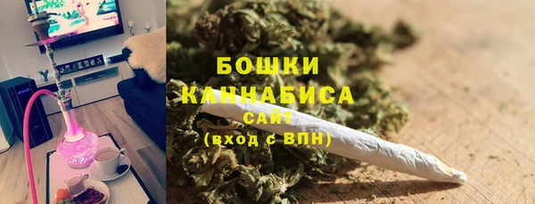 стаф Бронницы