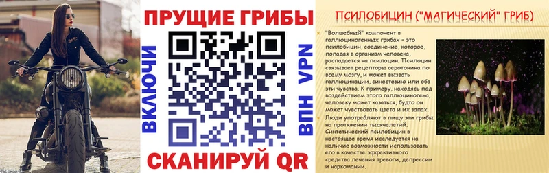 KRAKEN ТОР  Невьянск  Псилоцибиновые грибы Psilocybe 